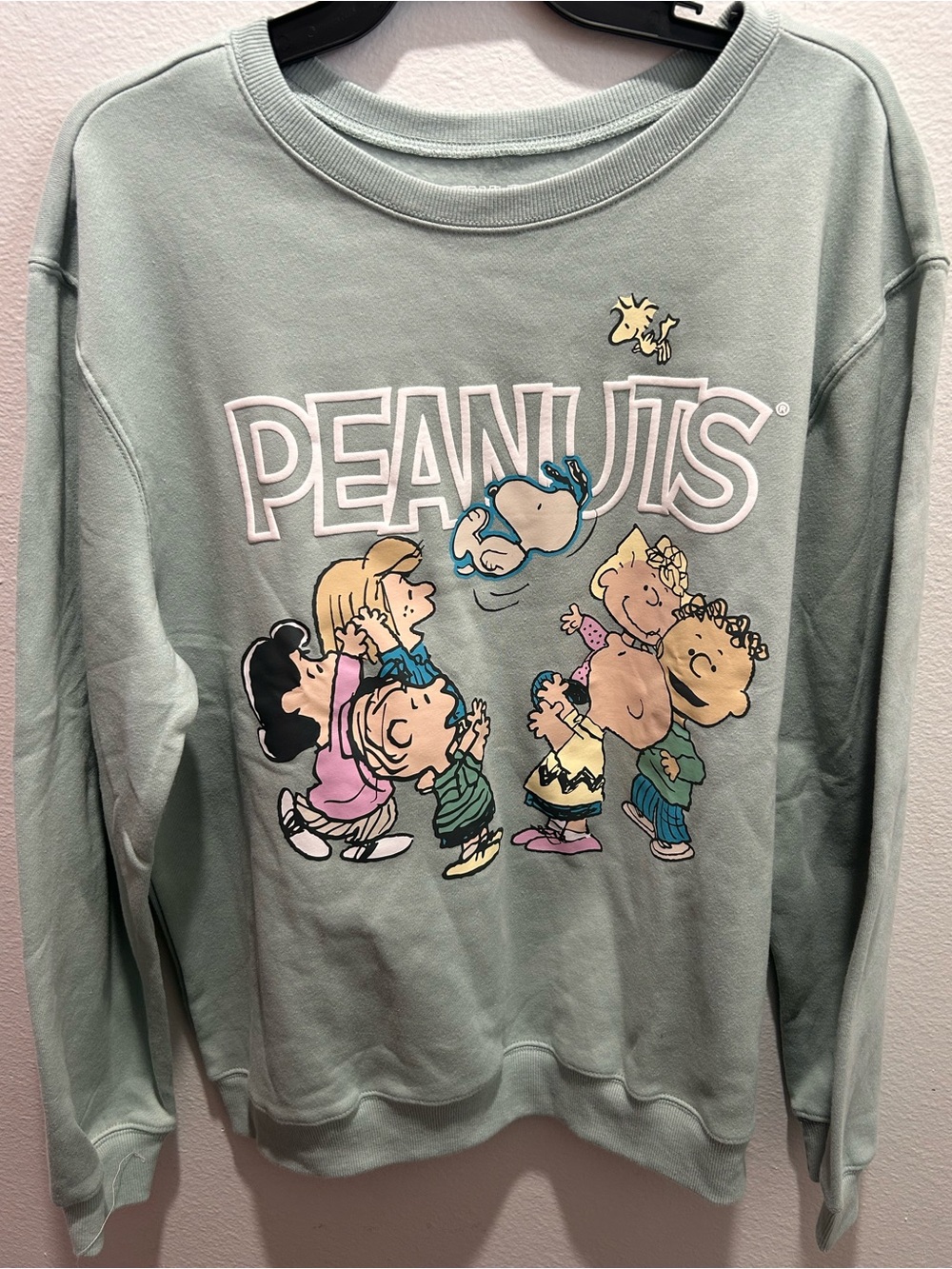 Peanuts Mint Green Crewneck Sweatshirt with Colorful Character Graphic